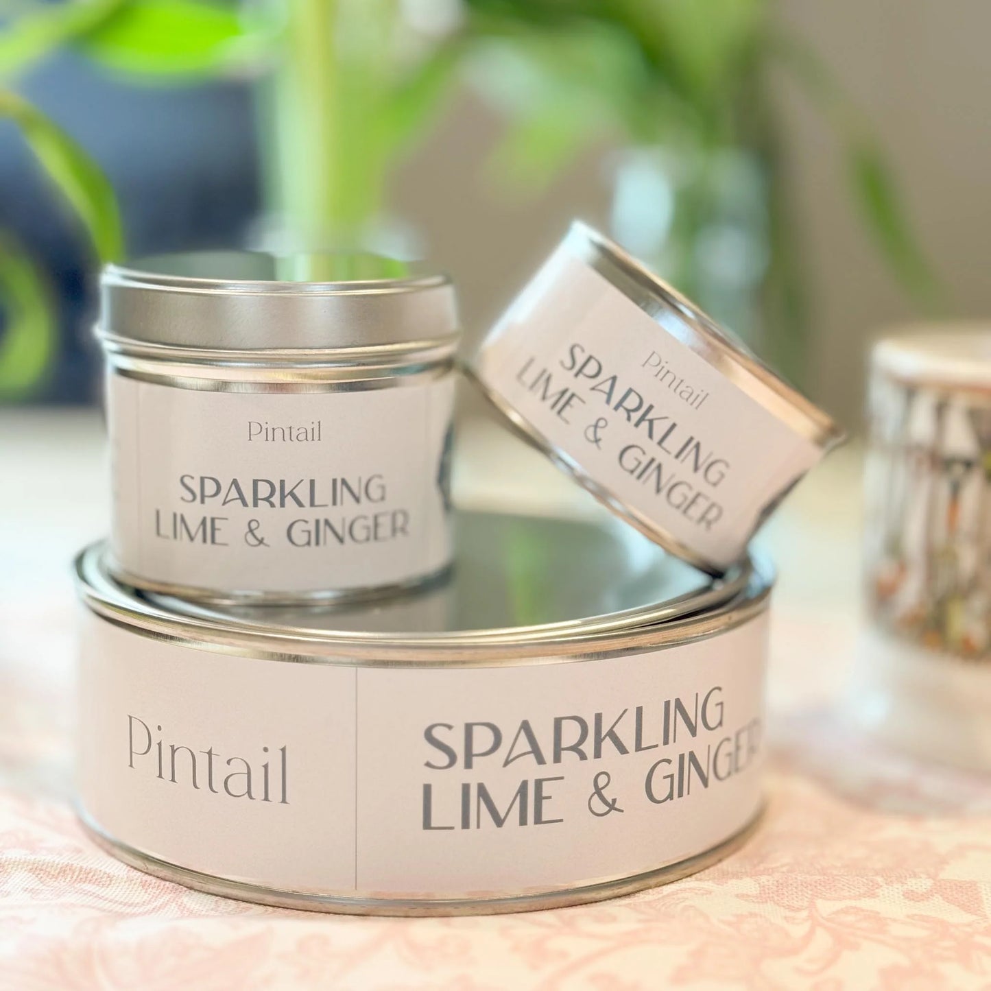Sparkling Lime & Ginger Candle Tin