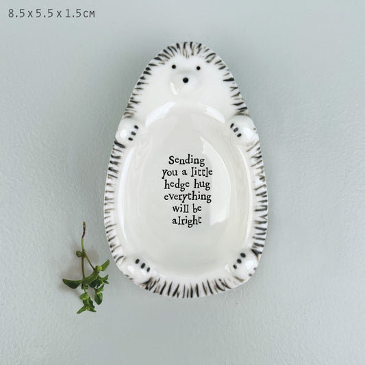 Flat Dish-Hedgehog/Sending you a hug